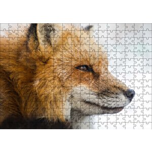Uzakları İzleyen Kızıl Tilki Yakın Çekim Puzzle Yapboz Mdf Ahşap 255 Parça