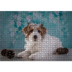 Beyaz Kahverengi Tüylü Terrier Puzzle Yapboz Mdf Ahşap 1000 Parça