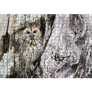 Kamufle Baykuş Puzzle Yapboz Mdf Ahşap 500 Parça