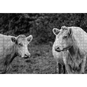 İki Beyaz İnek Görseli Puzzle Yapboz Mdf Ahşap 500 Parça