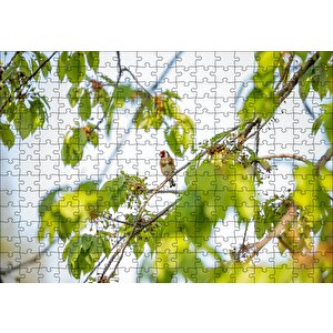Ağacın Dalları Arasındaki Kırmızı Yüzlü Kuş Puzzle Yapboz Mdf Ahşap 255 Parça