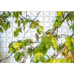Ağacın Dalları Arasındaki Kırmızı Yüzlü Kuş Puzzle Yapboz Mdf Ahşap 120 Parça