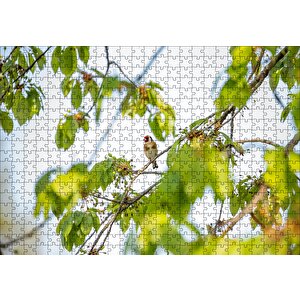 Ağacın Dalları Arasındaki Kırmızı Yüzlü Kuş Puzzle Yapboz Mdf Ahşap 500 Parça