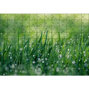 Çimenler Ve Su Damlaları Puzzle Yapboz Mdf Ahşap 120 Parça