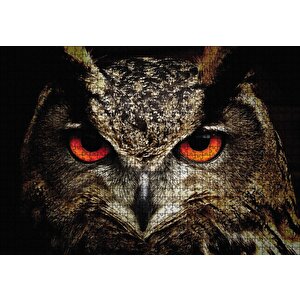 Baykuşun Gözleri Puzzle Yapboz Mdf Ahşap 1000 Parça