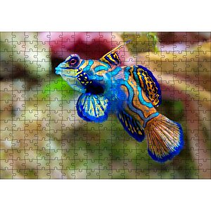 Mavi Mandarin Balığı Puzzle Yapboz Mdf Ahşap 255 Parça
