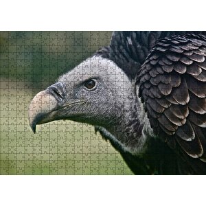 Gri Başlı Siyah Akbaba Yakın Çekim Puzzle Yapboz Mdf Ahşap 500 Parça