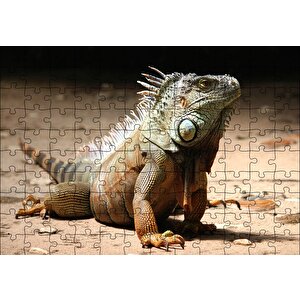 Kumlar Üzerinde Görkemli İguana Puzzle Yapboz Mdf Ahşap 120 Parça