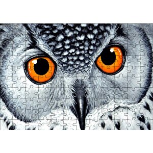Turuncu Gözlü Kar Baykuşu Yakın Plan Puzzle Yapboz Mdf Ahşap 120 Parça
