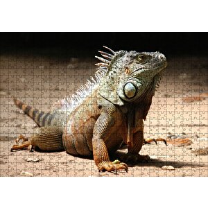 Kumlar Üzerinde Görkemli İguana Puzzle Yapboz Mdf Ahşap 500 Parça