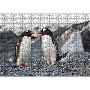 Sevimli Penguenler Ve Çakıl Taşları Puzzle Yapboz Mdf Ahşap 1000 Parça