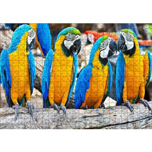 Daldaki Sarı Mavi Macaw Papağanları Puzzle Yapboz Mdf Ahşap 500 Parça