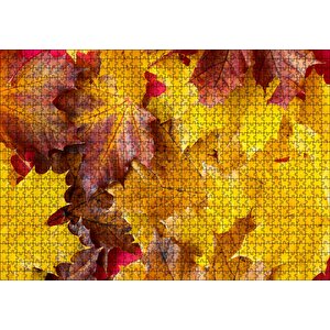 Ları Dökülmüş Sonbahar Yaprakları Yakın Çekim Puzzle Yapboz Mdf Ahşap 1000 Parça