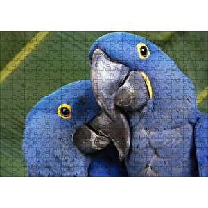 Mavi Macaw Papağanları Çift Puzzle Yapboz Mdf Ahşap 255 Parça