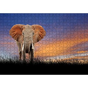 Çayırdaki Yetişkin Fil Ve Kızıl Gökler Puzzle Yapboz Mdf Ahşap 500 Parça