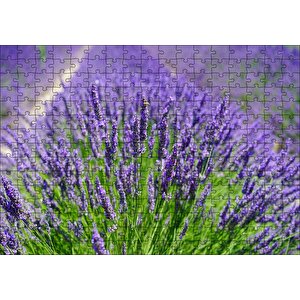 Lavanta Tarlasında Lavantalar Puzzle Yapboz Mdf Ahşap 255 Parça