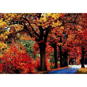 Ağaçlı Yol Ve Sonbahar Yaprakları Puzzle Yapboz Mdf Ahşap 255 Parça