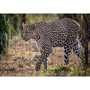 Kuru Otların Üzerinde Yürüyen Leopar Puzzle Yapboz Mdf Ahşap 120 Parça