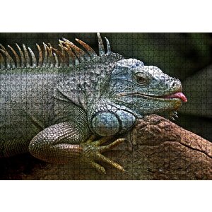 Dalın Üzerinde Dinlenen İguana Puzzle Yapboz Mdf Ahşap 1000 Parça