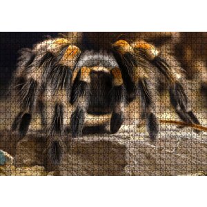 Tarantula Dijital Çizim Puzzle Yapboz Mdf Ahşap 1000 Parça