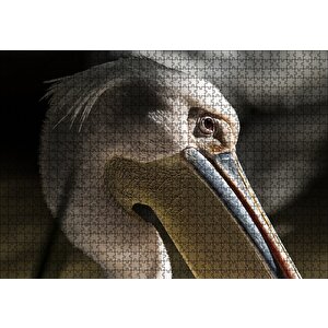 Pelikan Yakın Çekim Puzzle Yapboz Mdf Ahşap 1000 Parça