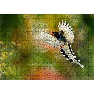 Uçan Cennet Kuşu Puzzle Yapboz Mdf Ahşap 255 Parça