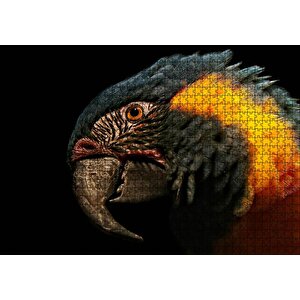 Siyah Arkaplan Turuncu Siyah Macaw Puzzle Yapboz Mdf Ahşap 1000 Parça