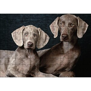 Sevimli Kahverengi Weimaranerler Puzzle Yapboz Mdf Ahşap 120 Parça