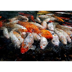 Su Üzerine Çıkmış Koi Balıkları Yağlı Boya Çizim Puzzle Yapboz Mdf Ahşap 255 Parça