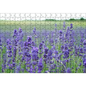 Yeşil Çayırlar Ve Lavantalar Puzzle Yapboz Mdf Ahşap 255 Parça