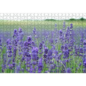 Yeşil Çayırlar Ve Lavantalar Puzzle Yapboz Mdf Ahşap 500 Parça