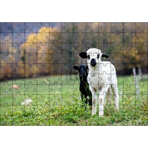 Çayırda Beyaz Ve Siyah Kuzular Flu Arka Plan Puzzle Yapboz Mdf Ahşap 120 Parça