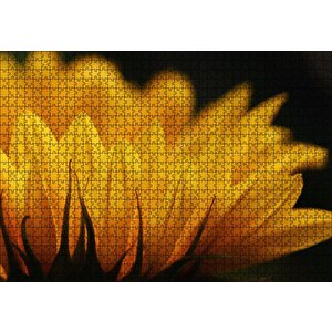 Cakapuzzle  Günebakan Çiçeği Makro Çekim Puzzle Yapboz Mdf Ahşap