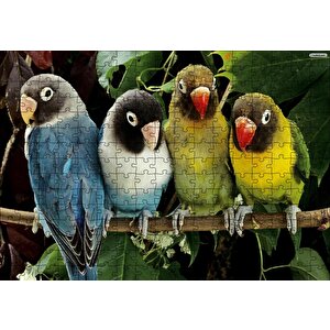 Dalda Sevda Papağanları Puzzle Yapboz Mdf Ahşap 255 Parça