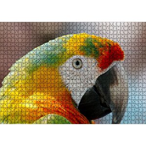 Amerikan Papağanı Puzzle Yapboz Mdf Ahşap 1000 Parça
