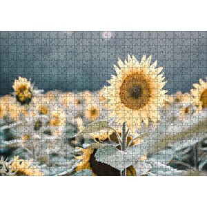 Günebakan Çiçeği Flu Arkaplan Puzzle Yapboz Mdf Ahşap 500 Parça