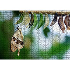 Kelebek Kozası Ve Renkli Kelebek Görseli Puzzle Yapboz Mdf Ahşap 1000 Parça