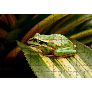 Yeşil Yaprak Üzerindeki Yeşil Kurbağa Puzzle Yapboz Mdf Ahşap 120 Parça