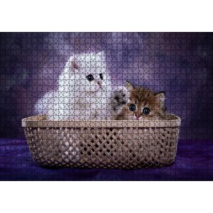 Sepette Beyaz Ve Tekir Sevimli Kediler Puzzle Yapboz Mdf Ahşap 1000 Parça
