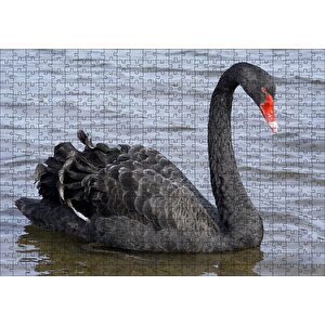 Göldeki İhtişamlı Siyah Kuğu Puzzle Yapboz Mdf Ahşap 500 Parça