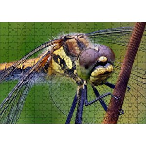 Dişi Yusufçuk Makro Çekim Puzzle Yapboz Mdf Ahşap 255 Parça