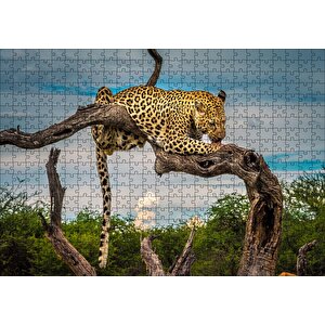 Kuru Dal Üzerinde Yalanan Leopar Görseli Puzzle Yapboz Mdf Ahşap 500 Parça