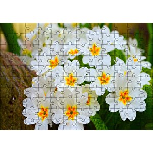 Bayaz Çuha Çiçeği Görseli Puzzle Yapboz Mdf Ahşap 120 Parça