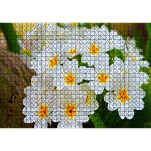 Bayaz Çuha Çiçeği Görseli Puzzle Yapboz Mdf Ahşap 1000 Parça