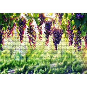 Asma Üzümü Kırmızı Üzüm Görseli Puzzle Yapboz Mdf Ahşap 255 Parça