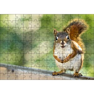 Daldaki Sevimli Küçük Sincap Puzzle Yapboz Mdf Ahşap 120 Parça
