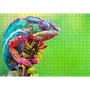Yeşil Arkaplan Ve Dalda Rengarenk Bukalemun Puzzle Yapboz Mdf Ahşap 500 Parça