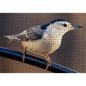 Beyaz Göğüslü Sıvacı Kuşu Görseli Puzzle Yapboz Mdf Ahşap 1000 Parça