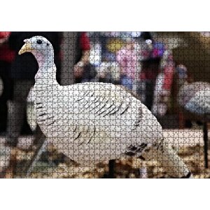 Beyaz Hindi Biblo Puzzle Yapboz Mdf Ahşap 1000 Parça