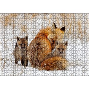 Karlar Üzerindeki Kızıl Tilki Ve Yavruları Puzzle Yapboz Mdf Ahşap 1000 Parça
